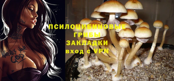 ПСИЛОЦИБИНОВЫЕ ГРИБЫ Киренск