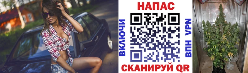 Шишки марихуана семена  мориарти состав  Клинцы 